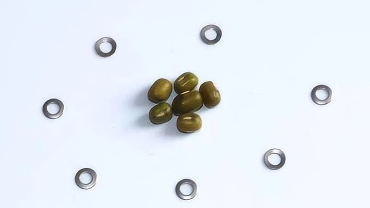 20251120-5_744_418 20251120-5_744_418