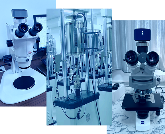 Materials R&D Capabilities